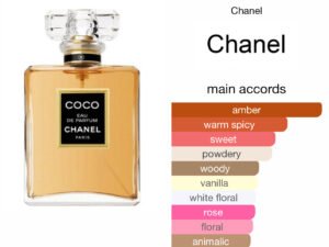 Scent Elixir Oil Impression of Chanel - Coco