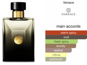 Scent Elixir  Oil  Impression Of Versace - Oud Noir