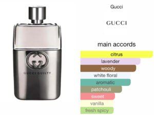Scent Elixir Oil Impression of Gucci - Guilty Pour Homme