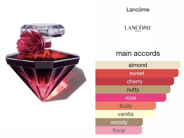 Scent Elixir  Oil  Impression Of LANCÔME - La  Nuit Tresor Intense