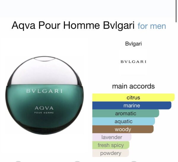 Scent Elixir  Oil Impression Of Bvgalri - Aqua Man