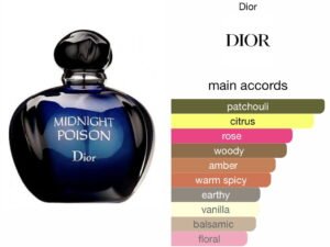 Scent Elixir Oil Impression Of Dior - Midnight Poison