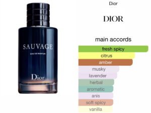 Scent Elixir Oil Impression of Dior - Sauvage Deluxe 2.0