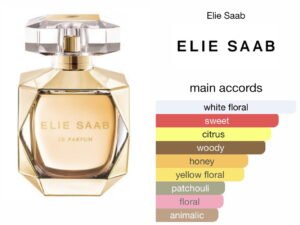 Scent Elixir Oil Impression Of Elie Saab - Eclat