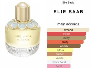 Scent Elixir Oil Impression Of Elie Saab - Girl Of Now