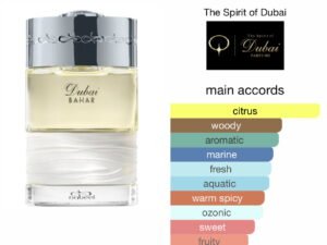 Scent Elixir Oil Impression of The Spirit Of Dubai - Bahar