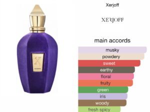 Scent Elixir  Oil  Impression Of Xerjoff -Accento