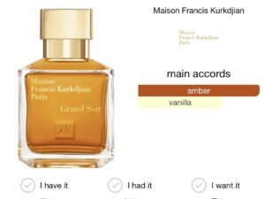 Scent Elixir  Oil  Impression Of Mfk - Grand Soir