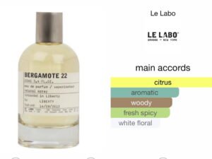 Scent Elixir  Oil  Impression of Lelabo - Bergamote 22