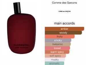 Scent Elixir  Oil   Impression of Comme de Garçons - Floriental