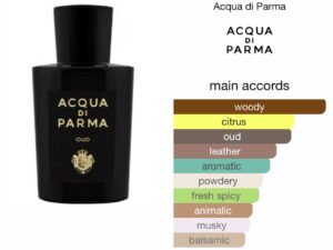 Scent Elixir Oil  Impression Of ACQUA DI PARMA - OUD