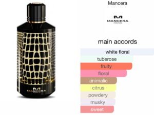 Scent Elixir Oil  Impression Of MANCERA -WILD PYTHON