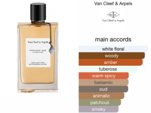 Scent Elixir Oil  Impression Of Vancleef and Arpel - Precious Oud