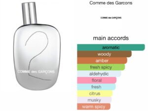 Scent Elixir Oil  Impression Of Comme De Garçons - Comme des Garçons 2