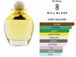 Scent Elixir Oil Impression Of Bill Blass - Nude