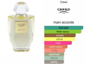 Scent Elixir Oil Impression Of Creed - Vetiver Geranium