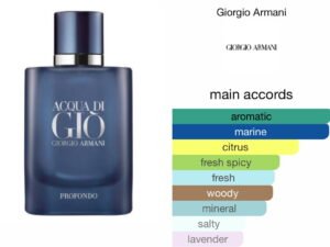 Scent Elixir Oil  Impression Of Giorgio Armani - Acqua di Gio Profondo