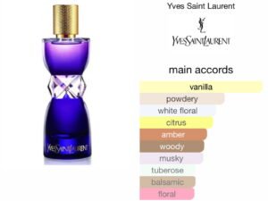 Scent Elixir Oil Impression Of YSL - Manifesto L'Elixir