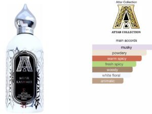 Scent Elixir Oil Impression Of Attar Collection - Musk Kashmir