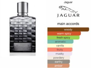 Scent Elixir Oil Impression Of Jaguar - Stance Man