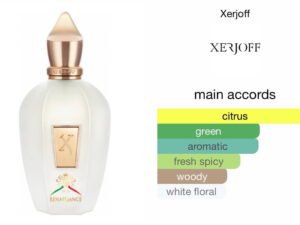 Scent Elixir Oil Impression Of Xerjoff - 1861 Renaissance