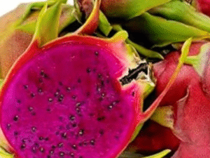 Orchid  Fragrance Oil