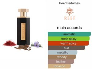 Scent Elixir Oil Impression Of Reef Perfumes - Reef 33