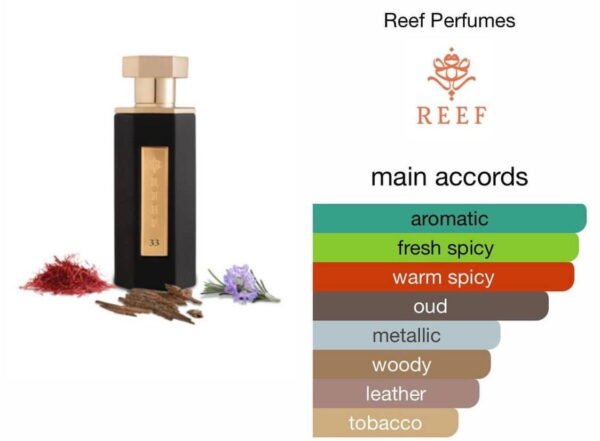 Scent Elixir Oil Impression Of Reef Perfumes - Reef 33