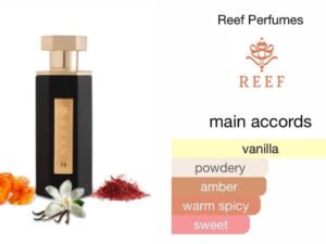 Scent Elixir Oil Impression Of Reef Perfumes - Reef 31