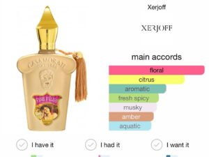 Scent Elixir Oil Impression Of Xerjoff - Cassamorati Fiore d'Ulivo