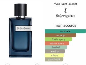 Scent Elixir Oil Impression Of Ysl - Y Intense Edp