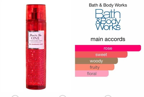 Scent Elixir Oil Impression Of Bath and Body - You Are The One