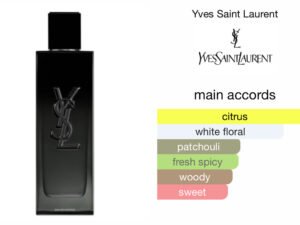 Scent Elixir Oil Impression Of Ysl - Myslf Eau De Parfum