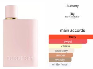 Scent Elixir Oil Impression of Burberry - Her Elixir Parfum (GV)