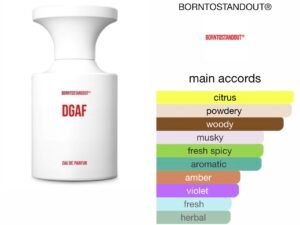 Scent Elixir Oil Impression Of BORNTOSTANDOUT® - DGAF  (GV)