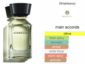 Scent Elixir Oil Impression Of Oman Luxury - Overdose