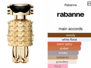 Scent Elixir Oil Impression Of Rabanne - Fame Intense