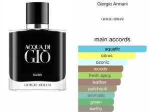 Scent Elixir Oil Impression Of Giorgio Armani - Acqua di Giò Elixir (GV)