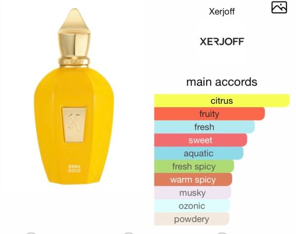 Scent Elixir Oil Impression Of Xerjoff - Erba Gold