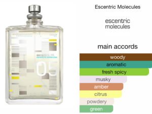Scent Elixir Oil Impression Of Escentric Molecules -  Escentric 05