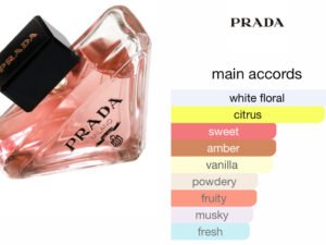 Scent Elixir Oil Impression Of Prada - Paradoxe
