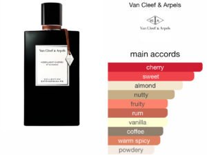 Scent Elixir Oil Impression Of Van Cleef & Arpels -  Moonlight Cherry