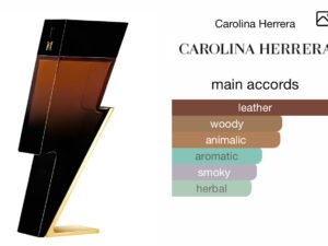 Scent Elixir Oil Impression Of Carolina Herrera - Bad Boy Elixir