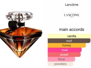 Scent Elixir Oil Impression Of Lancôme - La Nuit Trésor Vanille Noire