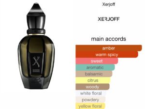 Scent Elixir Oil Impression Of Xerjoff-  Duran Duran Black Moonlight