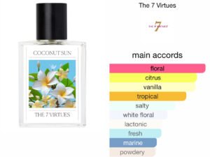 Scent Elixir Impression Of The 7 Virtues - Coconut Sun