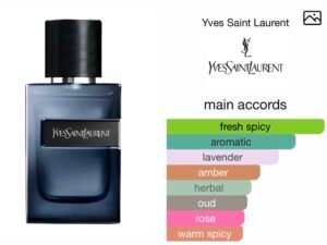 Scent Elixir Oil Impression Of YSL - Y Elixir