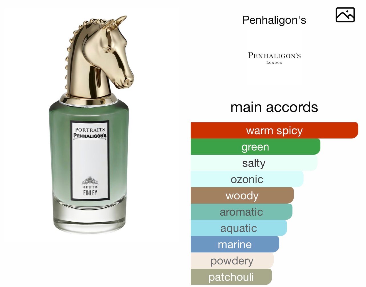 Scent Elixir Oil Impression Of Penhaligon's - Fortuitous Finley Deluxe 2.0