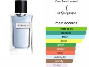 Scent Elixir Oil Impression Of YSL - Y for Men