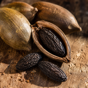 Tonka Bean  Absolute (100% Pure)
